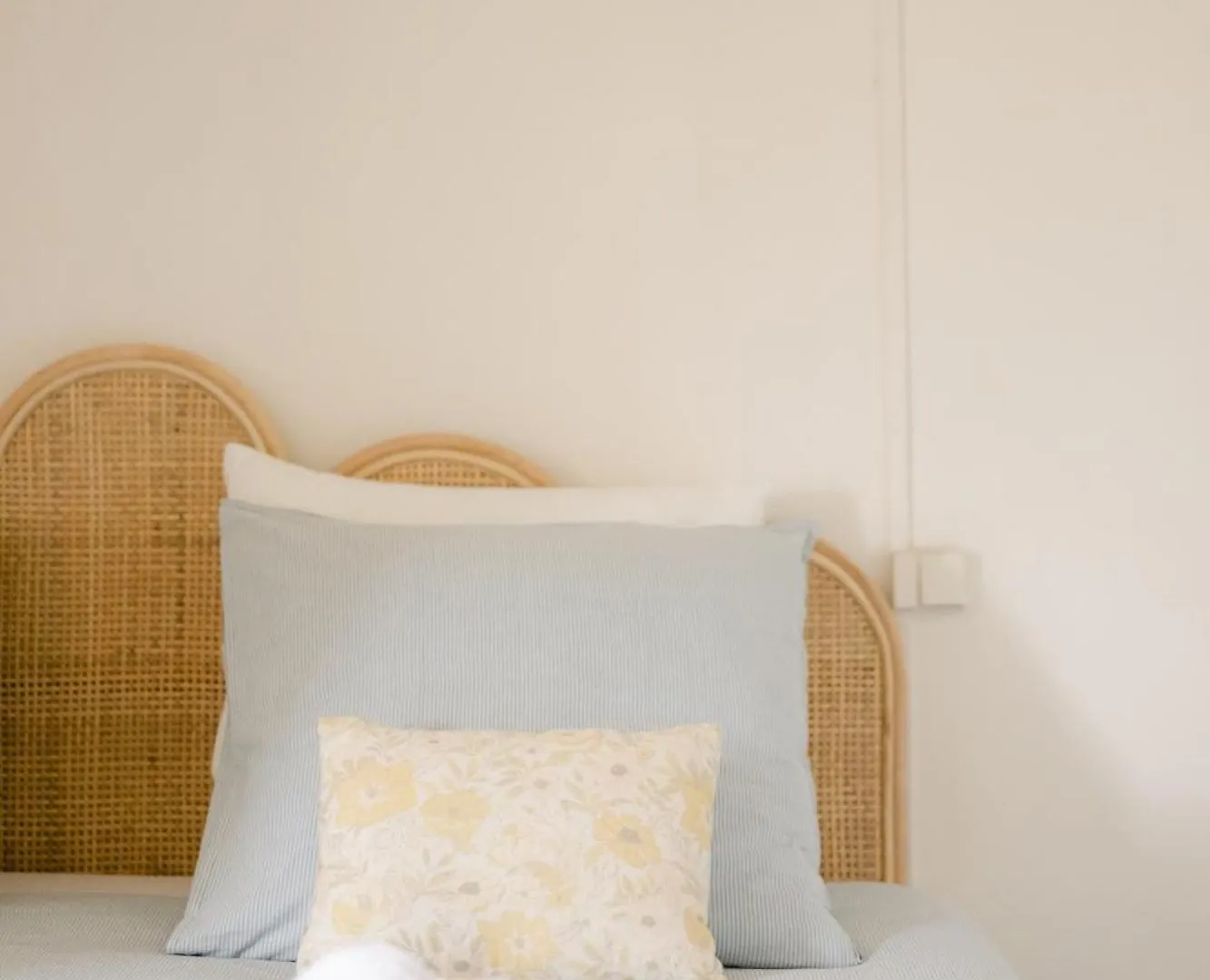 Chateau De Lemps Guest house Lemps (Ardeche)