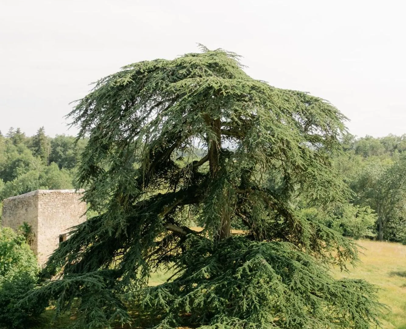 Chateau De Lemps